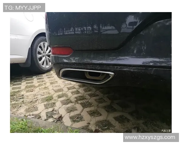 攀岩专题：聚焦武汉攀岩队的团队协作